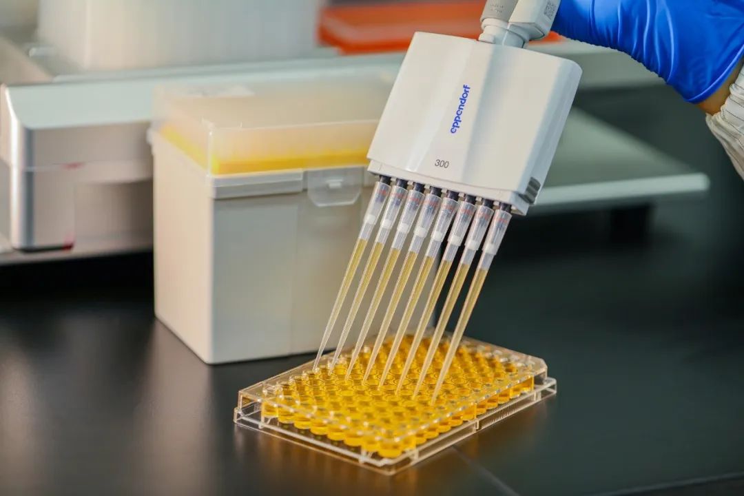 Mi a megfelelő pipettahegy az Ön számára?